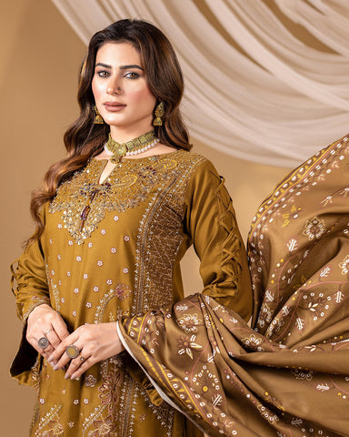 Designer Three Pieces | Long H/Work | Winter Dhanak