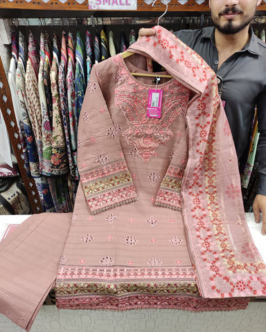 Designer Three Pieces | Eclairs | Winter Self Cotton